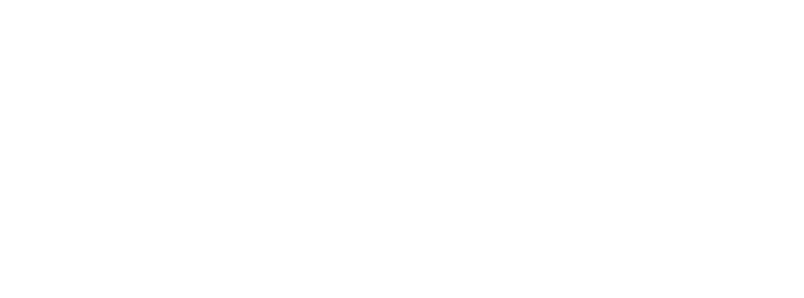 novshi